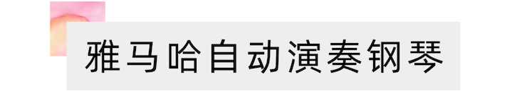 活动报道 | 远程艺术教育大师课活动—果博艺术家赵宇大师课