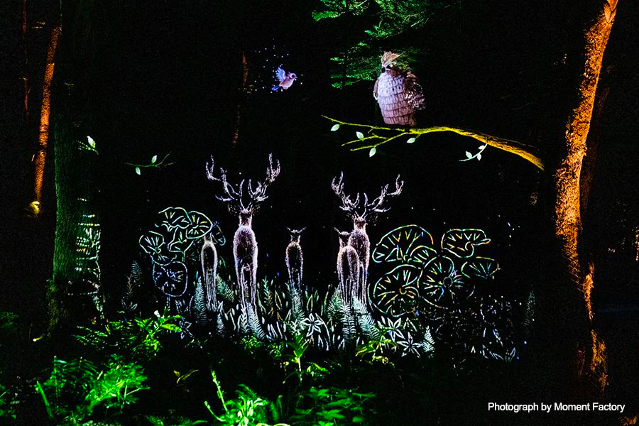 案例｜果博为壮观的Kamuy Lumina魔法夜行旅游项目提供配乐设备
