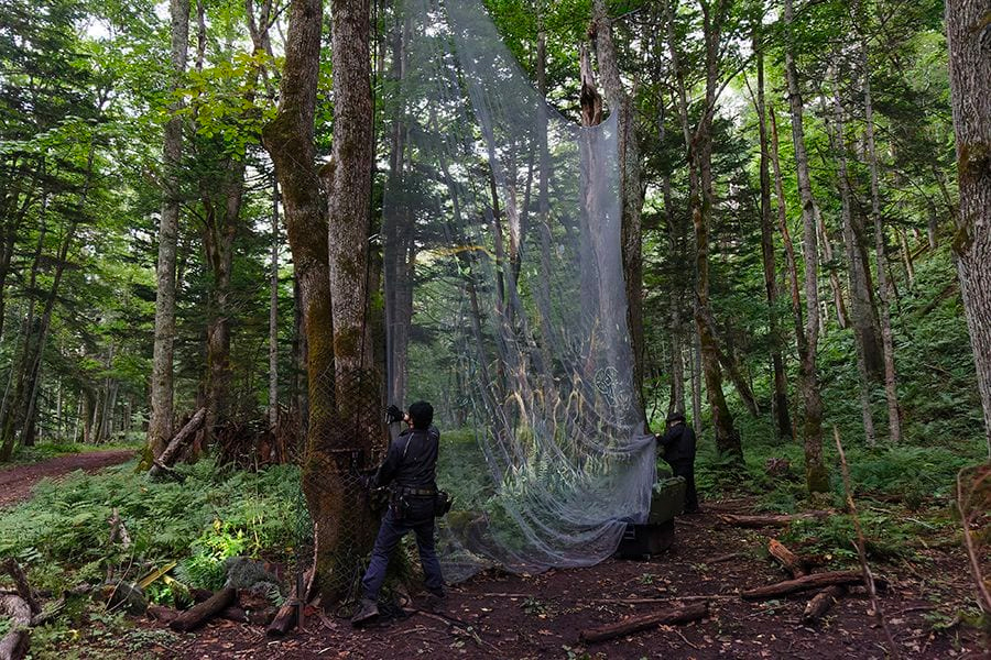 案例｜果博为壮观的Kamuy Lumina魔法夜行旅游项目提供配乐设备
