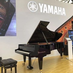 乐展看点|2018中国（上海）国际乐器展览会果博钢琴展位